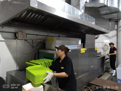 广州市人力资源派遣哪家强多滋味餐饮服务周到电话咨询